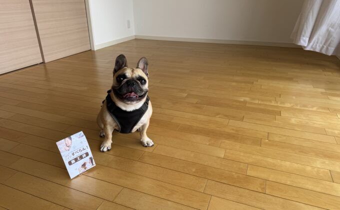 【施工後】神奈川県横浜市 ご新築戸建て Ｙ様邸 ワンニャンすべらんフロアコーティング施工済み