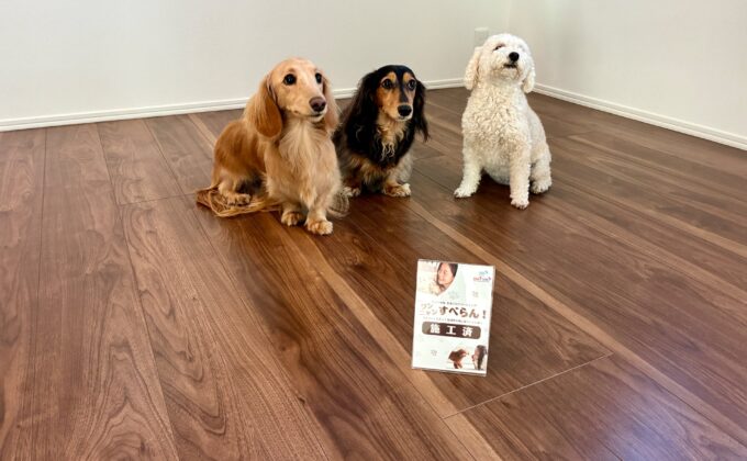 【施工後】千葉県千葉市 ご新築戸建て Ｓ様邸 ワンニャンすべらんフロアコーティング施工事例 ワンニャンすべらんフロアコーティング施工済み