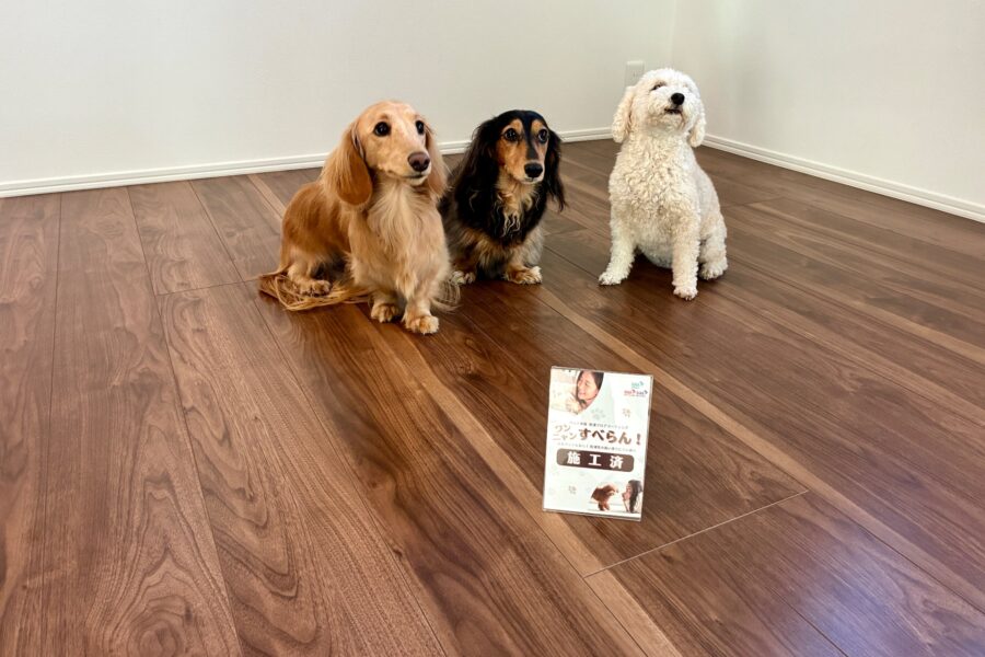 【施工後】千葉県千葉市 ご新築戸建て Ｓ様邸 ワンニャンすべらんフロアコーティング施工事例 ワンニャンすべらんフロアコーティング施工済み