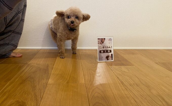 【施工後】茨城県取手市 ご入居中戸建て Ｋ様邸 ワンニャンすべらんフロアコーティング施工事例 ワンニャンすべらんフロアコーティング施工済み