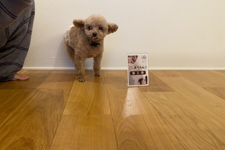 【施工後】茨城県取手市 ご入居中戸建て Ｋ様邸 ワンニャンすべらんフロアコーティング施工事例 ワンニャンすべらんフロアコーティング施工済み