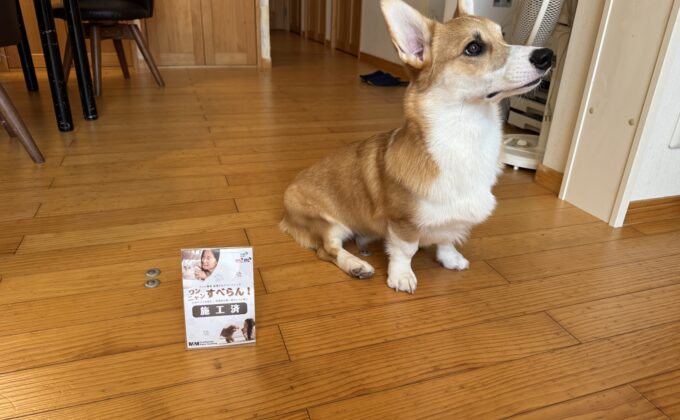 【施工後】東京都港区 ご入居中戸建て Ｋ様邸 ワンニャンすべらんフロアコーティング施工事例 ワンニャンすべらんフロアコーティング施工済み