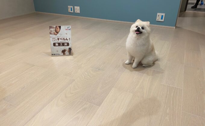 【施工後】東京都目黒区 ご新築戸建て Ｋ様邸 ワンニャンすべらんフロアコーティング施工済み