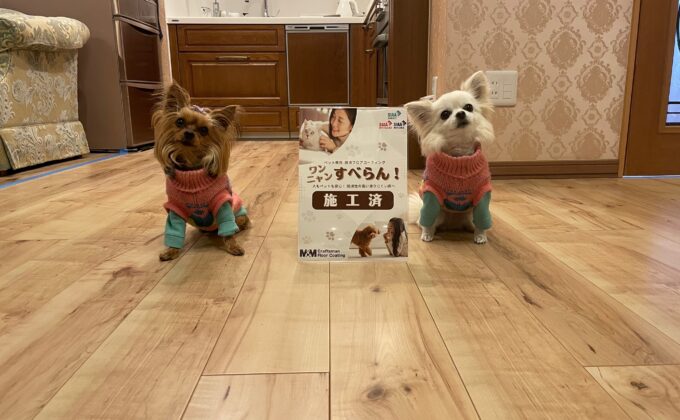 【施工後】東京都江戸川区 ご入居中マンション Ｎ様邸 ワンニャンすべらんフロアコーティング施工事例 ワンニャンすべらんフロアコーティング施工済み