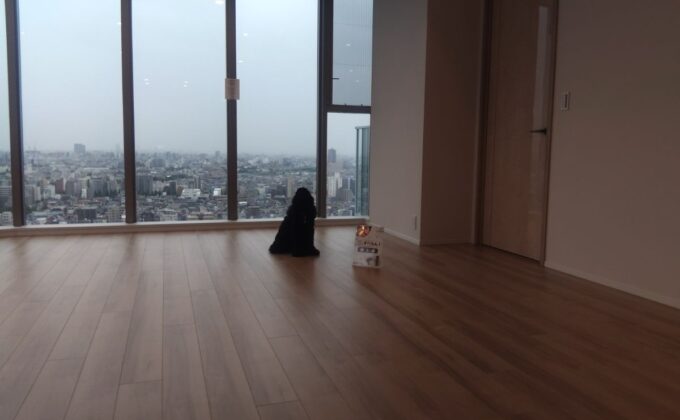 【施工後】東京都中野区 ご新築マンション Ｋ様邸 ワンニャンすべらんフロアコーティング施工事例 ワンニャンすべらんフロアコーティング施工済み