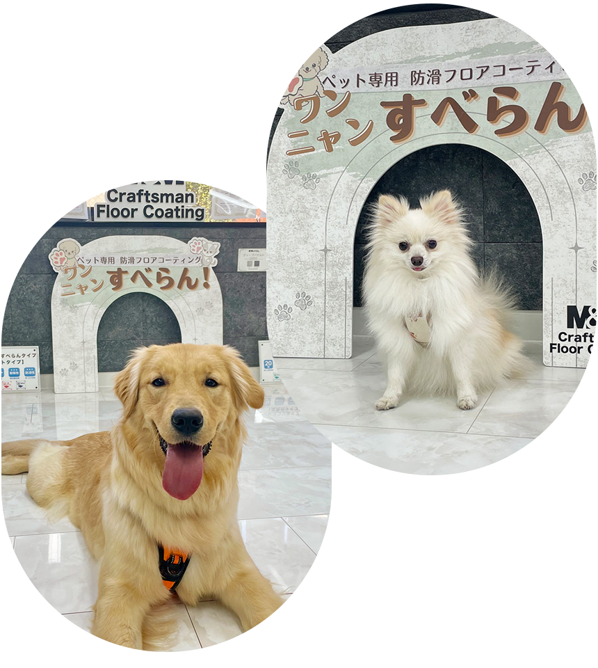 愛犬・愛猫と一緒に体験できるショールーム